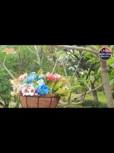 Coconut Palm Metal Hanging Flower Plant Pot Basket Hanger Garden Balcony Decoration Pasu Gantung Sabut Kelapa 椰棕金属吊花篮