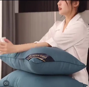 DB Hilton Cloud Sensing Neck Pillow: Memory Cotton Zero Pressure Support Deep Sleep Care for Cervical Neck