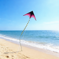 1.6m delta kites flying wind kites outdoor toys for children's flying deer sports beach professional kite octopus kite kevlar. 