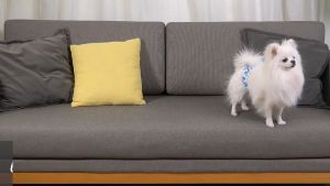 Dono Disposable Male Wraps: A Comprehensive Guide to Comfortable & Non-Slip Male Hygiene