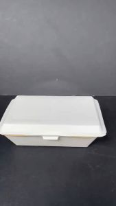 [50 pcs] Earthpack Spaghetti 650ml Disposable Food Box
