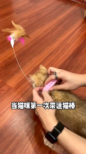 Adjustable Pet Cat Collar Teaser Toy Feather Bells Interactive Fun Toys Teaser Stick Mainan Kucing