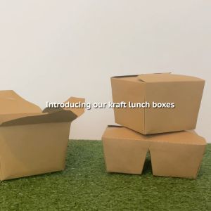(Carton-Sale 200pcs) 2 Compartment Kraft Bento Box - Paper Lunch Box Disposable Takeaway Salad Box