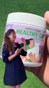 Peppy Paws Healthy Gut Cat 90 Soft Chews - Probiotics | Papaya | Greek Yogurt | Flaxseed | Maqui Berry | Pumpkin | | FDA Registered | GMP Facility | Non GMO | All Natural | 100% Original