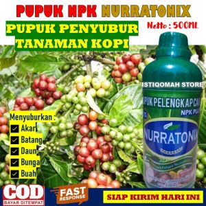 Pupuk Cair Penyubur Akar dan Daun Kopi Terbaik NPK NURRATONIX 500ML untuk Tanaman Kopi isi 500ML Mempercepat Pertumbuhan Akar Daun dan Buah Kopi yang Bagus dan Manjur Paling Laris Murah