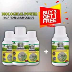 KILL GRASS PANDA RAJA PEMBUNUH GULMA
