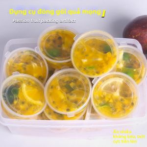 Disposable Compartment Containers for Food Portioning