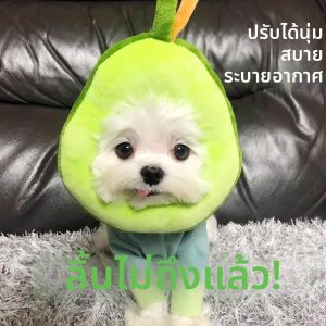 Petone dOrage | Anti Licking Pet Collar