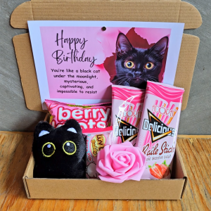 ✨ Black Pink Kitty Cat Treats Snacks Holiday Gift Collectibles Plushie Stuffed Toys Valentines Romance Custom Message