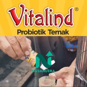 Probiotik ternak burungProbiotik peternakan kambingProbiotik ternak unggasVitamin probiotik