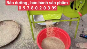 Máy thổi thóc lúa  đổ lúa vào phễu bên trên kéo nhẹ cần gạt là lúa tuần tự chảy