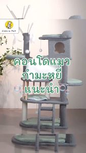 Cherie Pet シคอนโดแมว กำมะหยี่ บ้านแมว ของเล่นแมว แข็งแรง สูง 127 CM