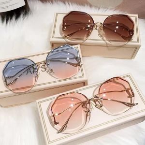 Fashion Aesthetic Sunglasses for Women/Men Colour Large Frame Womens Gradient Eyeglasses