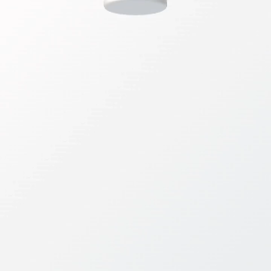 GENERIQ Green Tea Extract 500mg (Mental Focus Energy Boost & Antioxidant Support)