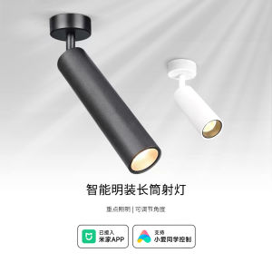 zhishu | Smart Adjustable All-spectrum Track Light