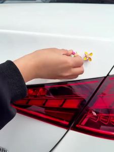 Creative Spinning Car Decoration For Women