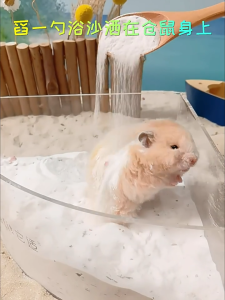 Tafit Toilet Sand Bathing Sand & Bedding for Hamsters | Natural Odor Control Small Pet Litter