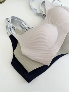 นุ่ม Support Jelly Strip สปอร์ตบรา เสื้อกั๊ก ชุดชั้นในไร้สายสไตล์สําหรับผู้หญิงรวบรวมหน้าอกเล็กป้องกันการหย่อนคล้อยตลอดทั้งปี