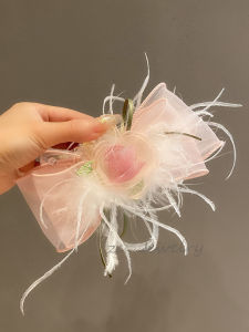Elegant Feather Butterfly Knot Hair Clip & Super Fairy Shark Clip: 2023 New Style Hair Grips