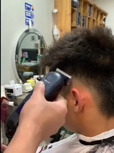 Panasonic D86 Hair Clipper Limited-time special offer Rechargeable Cordless Trimmer Large Battery Quiet Design with LED Display