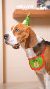 XMAS Bear Green/Red for Plush Toy (สำหรับน้องหมาน้องแมว)