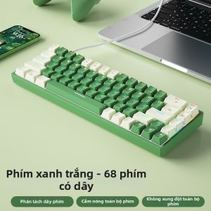 B．O．W | Bàn phím cơ Gaming Có Dây BOW G68us Hotswap Layout 65% (68 Phím) Dây Cáp Rời Tương thích Mac & Win