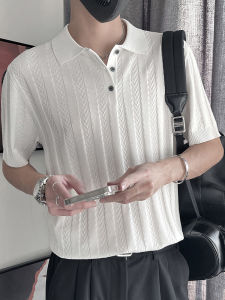 Áo Thun Nam Tay Ngắn Mùa Hè Thời Trang Thường Ngày Dáng Rộng Thoải Mái Thoáng Khí Áo Phông Cổ Polo Dệt Kim Phong Cách Thường Ngày