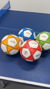 [AS-Lion] Football PU-Stitched Size 5 (Assorted Colours) (SG Seller)