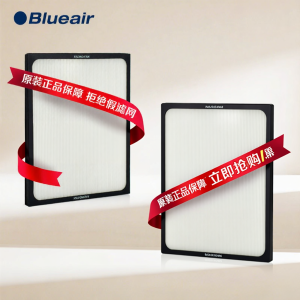 Blueair | Smoke And Odor Removal Particle Filter Dust PM2.5