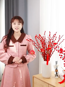 CNY 2026 Real Silver Willow 120cm Single Stem Dried Flower Wealth Stays Meaning Chinese New Year Decoration马年活银柳银子留下来寓意