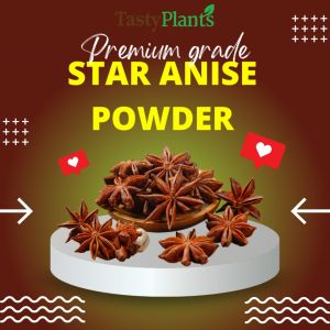 ผงโป๊ยกั๊ก เกรดพรีเมี่ยมนำเข้าจากประเทศจีน(Premium grade imported from China) Tasty Plants I Star Anise Powder 250 g