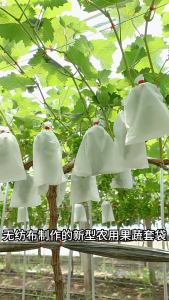 ถุงห่อฝรั่ง 100 ใบ✨ ห่อผลไม้กันแมลง องุ่น มะม่วง ส้มโอ และอื่นๆ ถุงห่อผลไม้กันเเมลง ผ้าสปันบอนด์ หนา 30