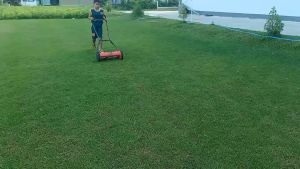 Reel Mower รถตัดหญ้าเดิน ไม่ใช้ไฟฟ้า-น้ำมัน สำหรับหญ้าสูง2-5ซม.สำหรับการตัด1-2ครั้ง/Wk เหมาะสำหรับหญ้าทุกสายพันธ์