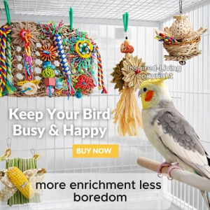 Parrot Toy Natural Chew Toy Set for Birds | Bird Toy for Budgie Lovebird Cockatiel Conure | Reduce Boredom & Destructive Chewing