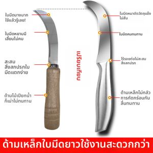 plys | Fruit Cutting Knife for Banana Mango Watermelon Stainless Steel Sharp Peeling Knife