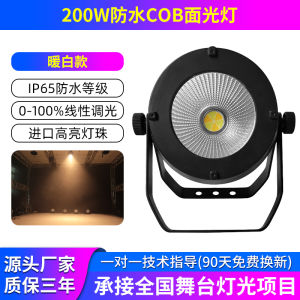 Ritueli Outdoor Stage Lighting Waterproof COB Face Light LED Parlamp Outdoor Performance Spotlight Engineering Fill Light