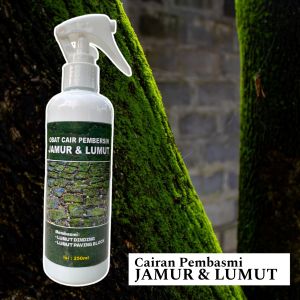 [Bogortani] PEMBERSIH LUMUT DING-DING | JAMUR TEMBOK | PAVING BLOCK 250ML