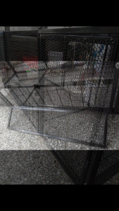 กรงไก่ ชึงกระต่าย กรง ไก่ ขนาด ใหญ่กรงไก่ กรงเป็ด กรงห่าน กรงกระตาย กรงแมว กรง และลัง สุนัข กรงหมา