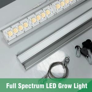 80W/160W Waterproof Lens Plant Grow Light Bar IP65ไฟเสริมแสงสำหรับพืชในร่มกันน้ำ โคมไฟปลูกพืชผัก ไฟปลูกต้นไม้ Full Spectrum