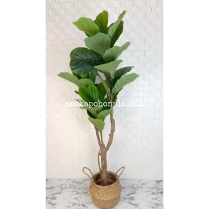 Pohon Imitasi Tanaman Hias Daun Ketapang X3 T150 Latex Artificial Cover Purun Belly Dekorasi Cafe Kantor Aesthetic
