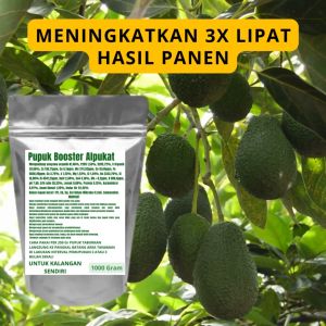 Pupuk Booster Alpukat Pelebat Organik Cepat Berbuah Lebat Besar Anti Rontok Pembesar Alpukat