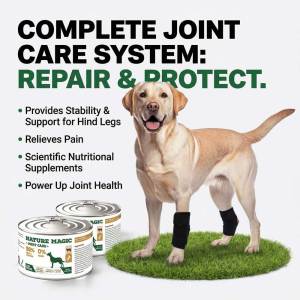 Teekland Dog Knee Brace for Back Leg Support Hock Joint Compression Wrap ACL Brace for Hind Legs Stabilizing Rear Leg Support for Senior & Overweight Dogs Ideal for Medium & Large Breeds