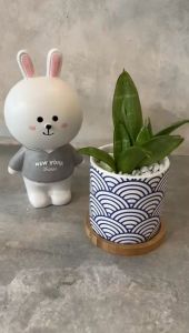 Lattice Pattern Round Small Ceramic Pot Desktop Potted Fleshy Flower Pot Colorful Porcelain Flower Pot GF8106-1