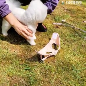 Pet Dog Harness with Leash Adjustable Vest Walking Supplies Soft Breathable Plaid Collar Dog Accessories Suitable for Small Medium and Large Dogs