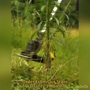 Small garden rechargeable weeder Mow lawn mower lithium battery mower Portable electric lawn mower for home use Double Control Switch Assistant Handle Length Adjustment Button Electric Machinery Lithium Battery Adjustable Length