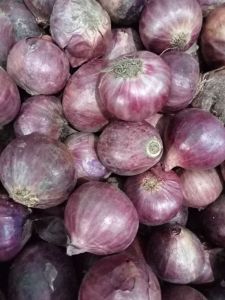 Bawang Merah PEKING Kecil 1KG