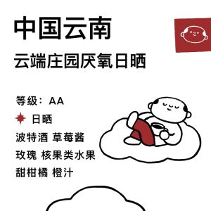 TangShui Anoxic Sun-Dried Cloud Estate Fermented Wine Scented Strawberry Jam Rose Hand-Poured Cold Brew Coffee Beans