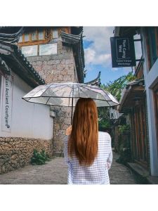 MOLORE | Automatic Three-Fold Transparent Umbrella