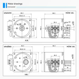 มอเตอร์สynchronous Motor แม่เหล็กถาวรแบบมีกิ่งก่าม ไฟฟ้า 220V ขนาดเล็ก ช้า ต่ำ ลดความเร็ว