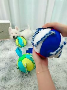 Đồ chơi cho Chó quả bóng đĩa bay kèm dây thừng gặm sạch răng (mẫu mới) - Hara Pet Store